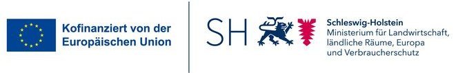Logo: Kofinanziert von der EU